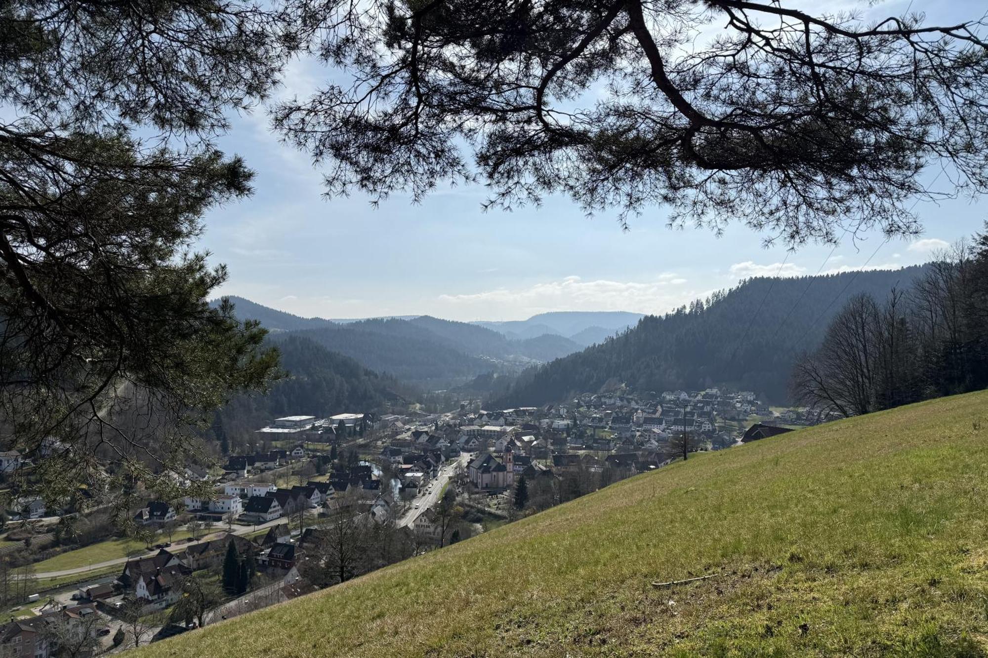 Schwarzwald Blockhaus - Sauna - Kamin - Mit Bettwaesche Und Handtuecher Schenkenzell Zewnętrze zdjęcie