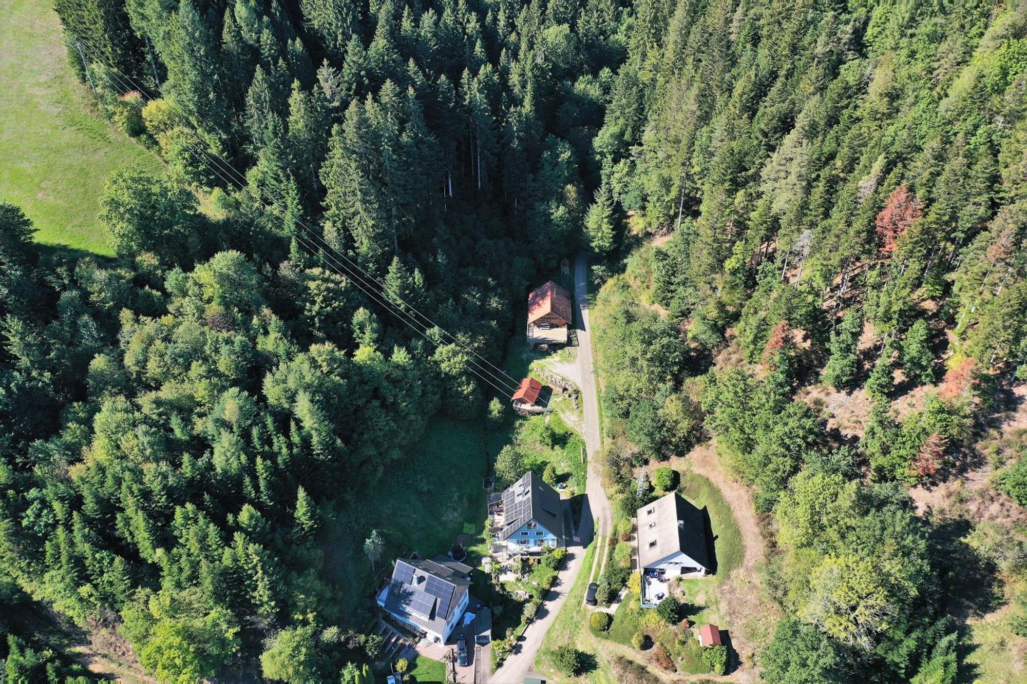 Schwarzwald Blockhaus - Sauna - Kamin - Mit Bettwaesche Und Handtuecher Schenkenzell Zewnętrze zdjęcie